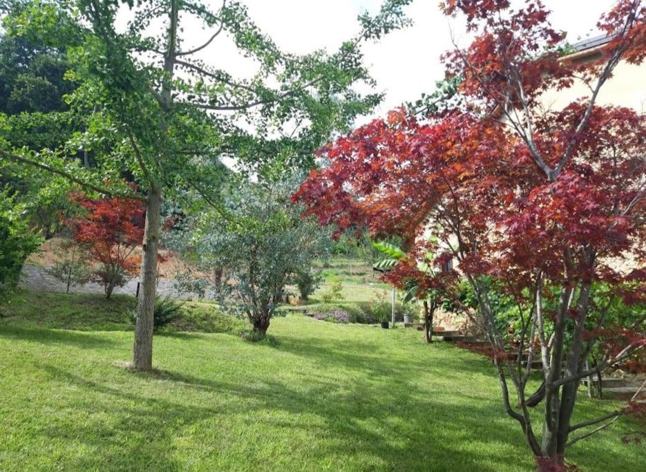 Apartamento Istanti - Salvia Costigliole Saluzzo Exterior foto